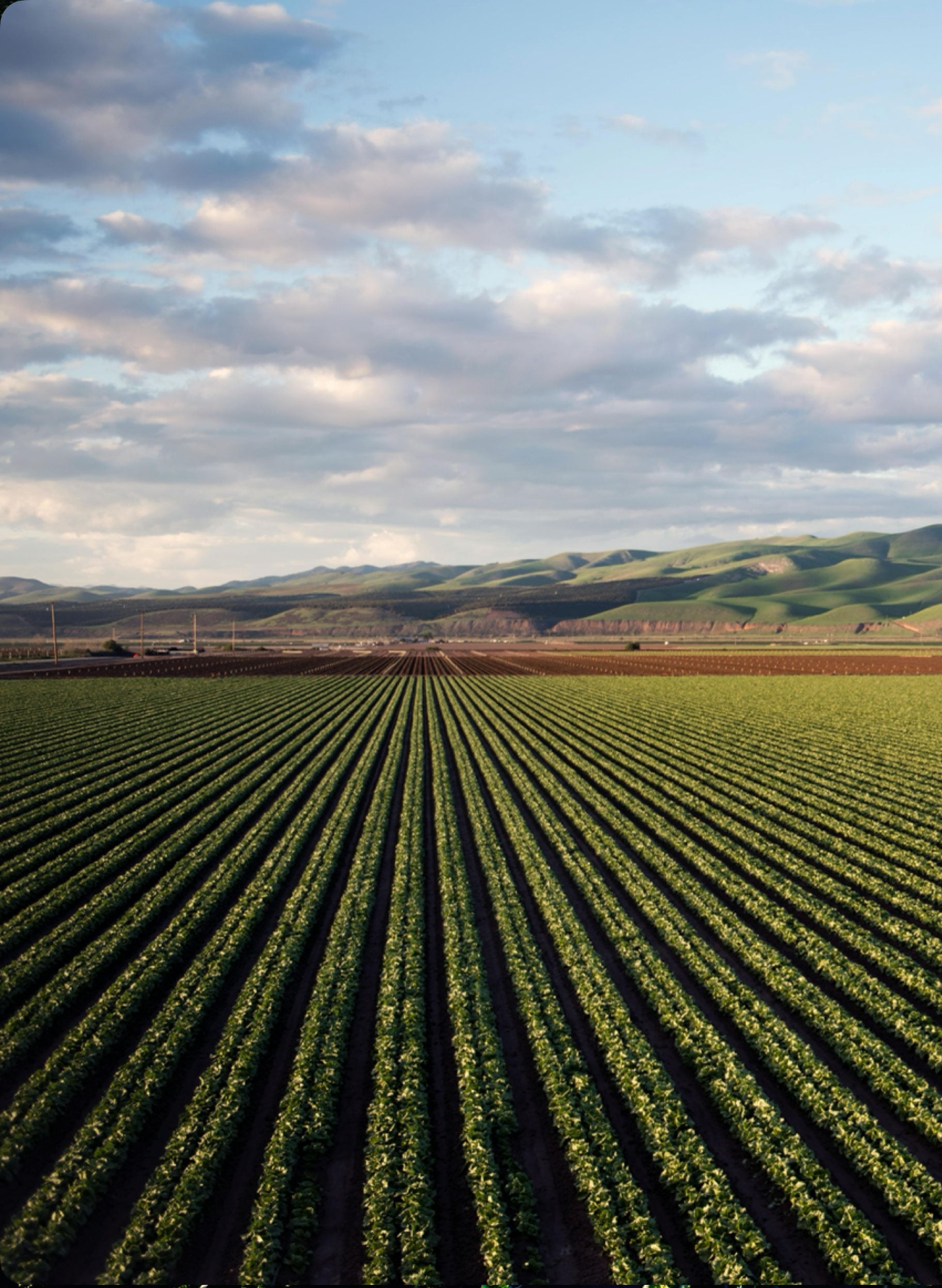 Accelerating decarbonization across the farming supply chain