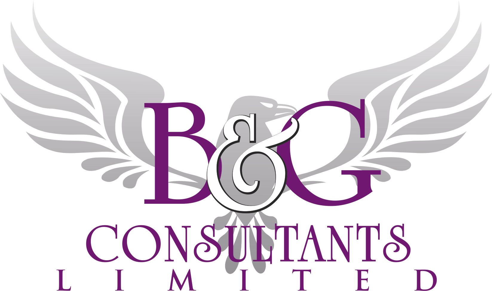 B&G Consultants Limited